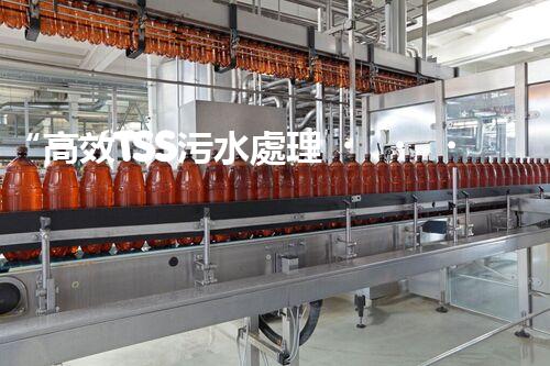 “高效TSS污水處理，守護碧水藍天新篇章”